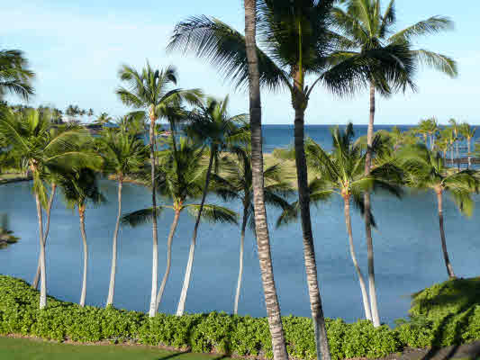 MLS 240700 | Mauna Lani Terrace, #A204, Mauna Lani Resort - South Kohala, Hawaii MLS 240700 | Mauna Lani Terrace, #A204, Mauna Lani Resort - South Kohala, Hawaii