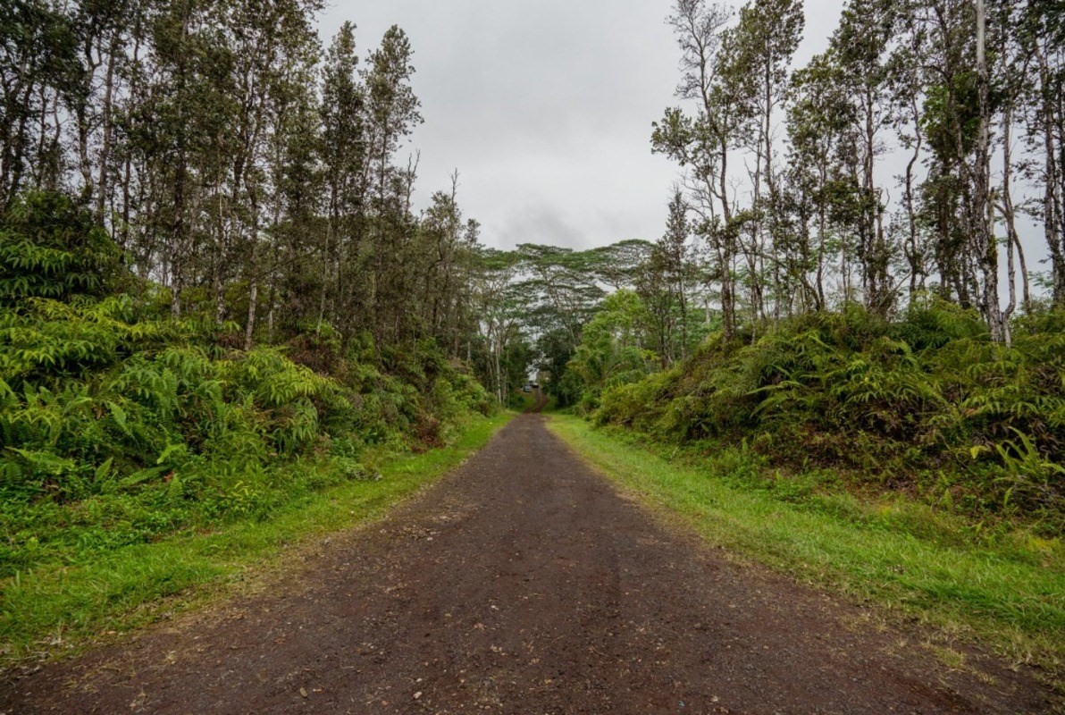 Big Island Listing Image