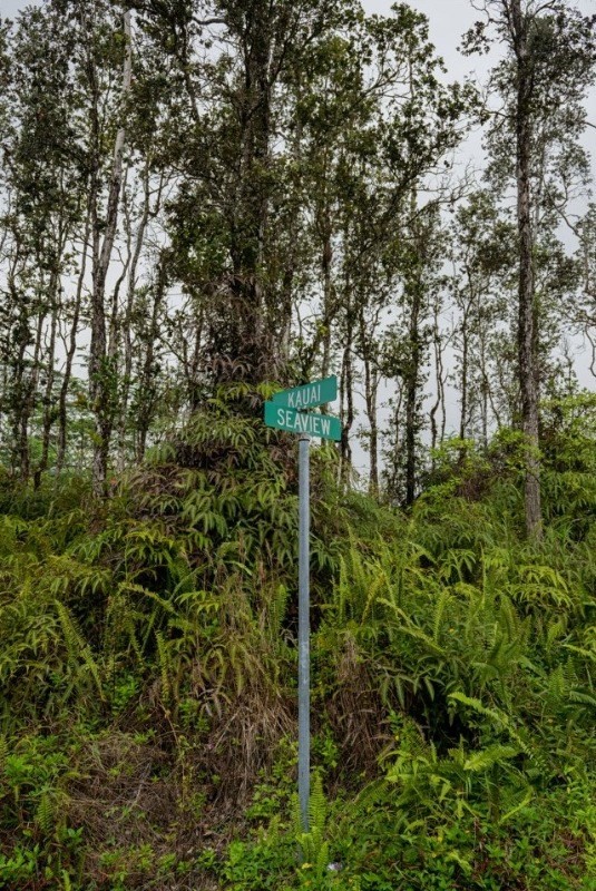 Big Island Listing Image