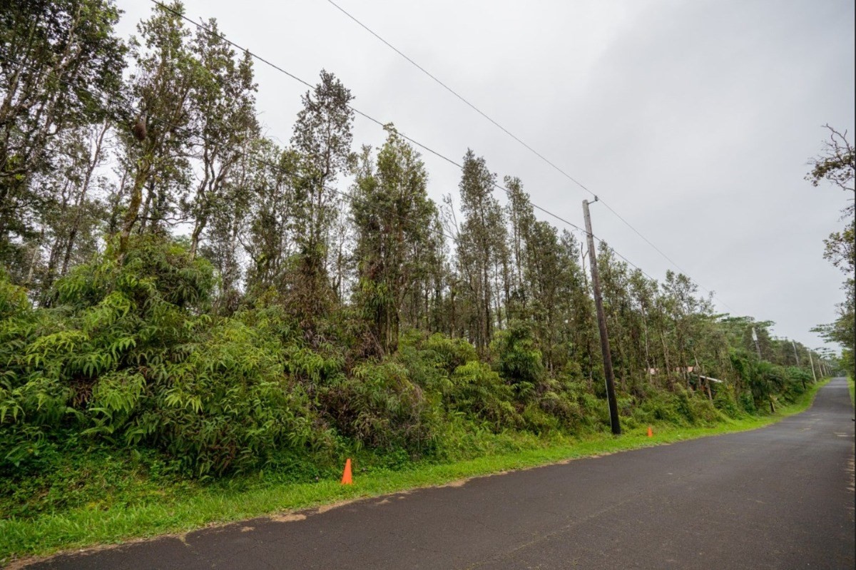 Big Island Listing Image