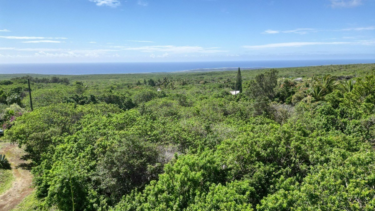 Big Island Listing Image