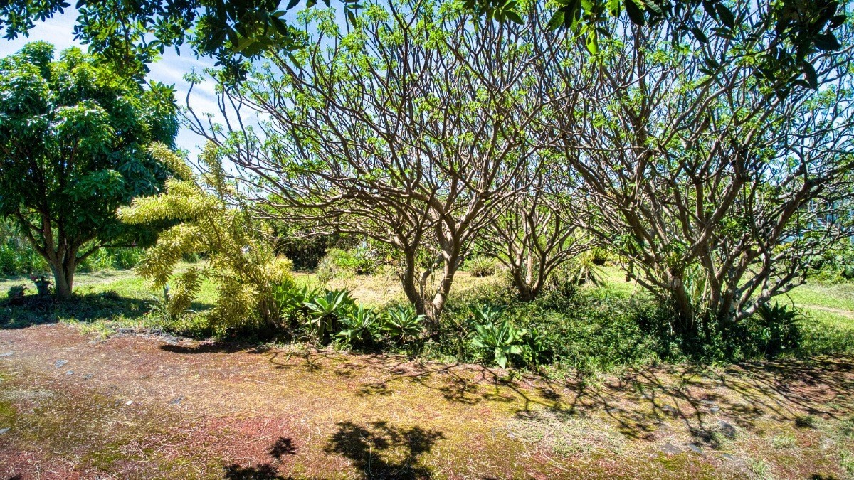 Big Island Listing Image