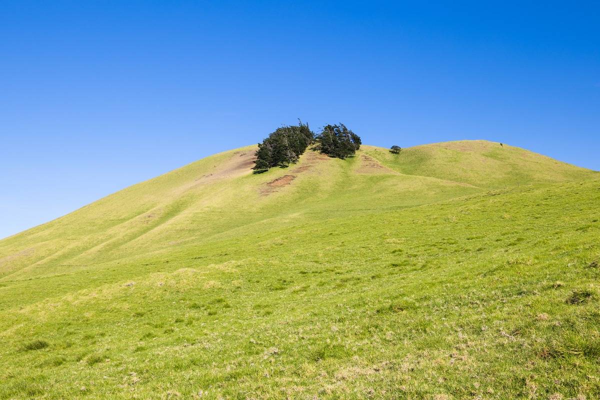 Big Island Listing Image