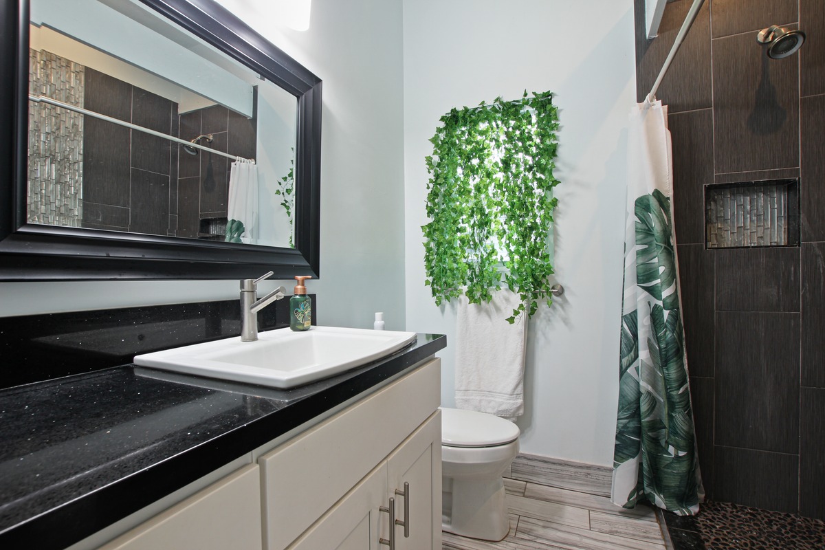 Big Island Listing Image