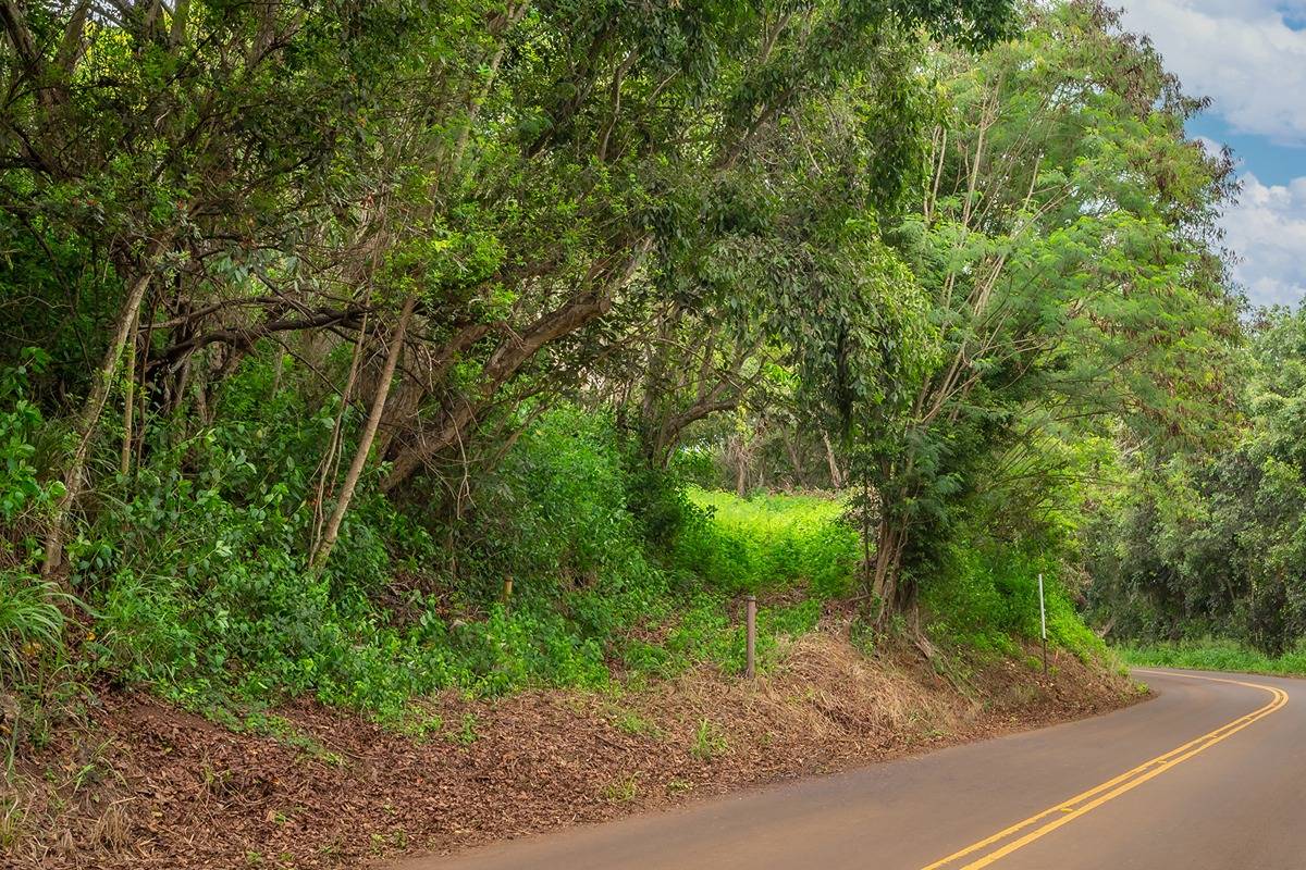 APOPO RD KAPAA HI 96746