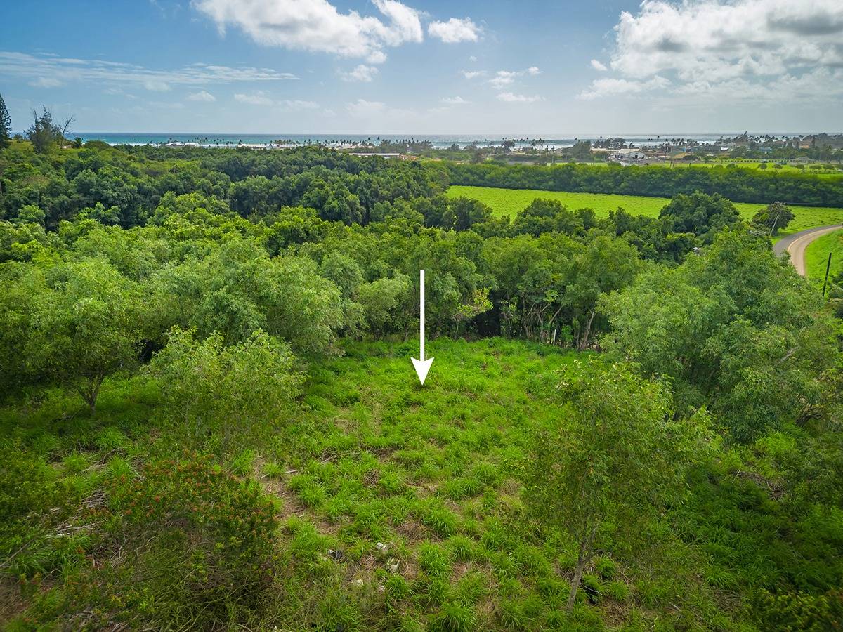 APOPO RD KAPAA HI 96746