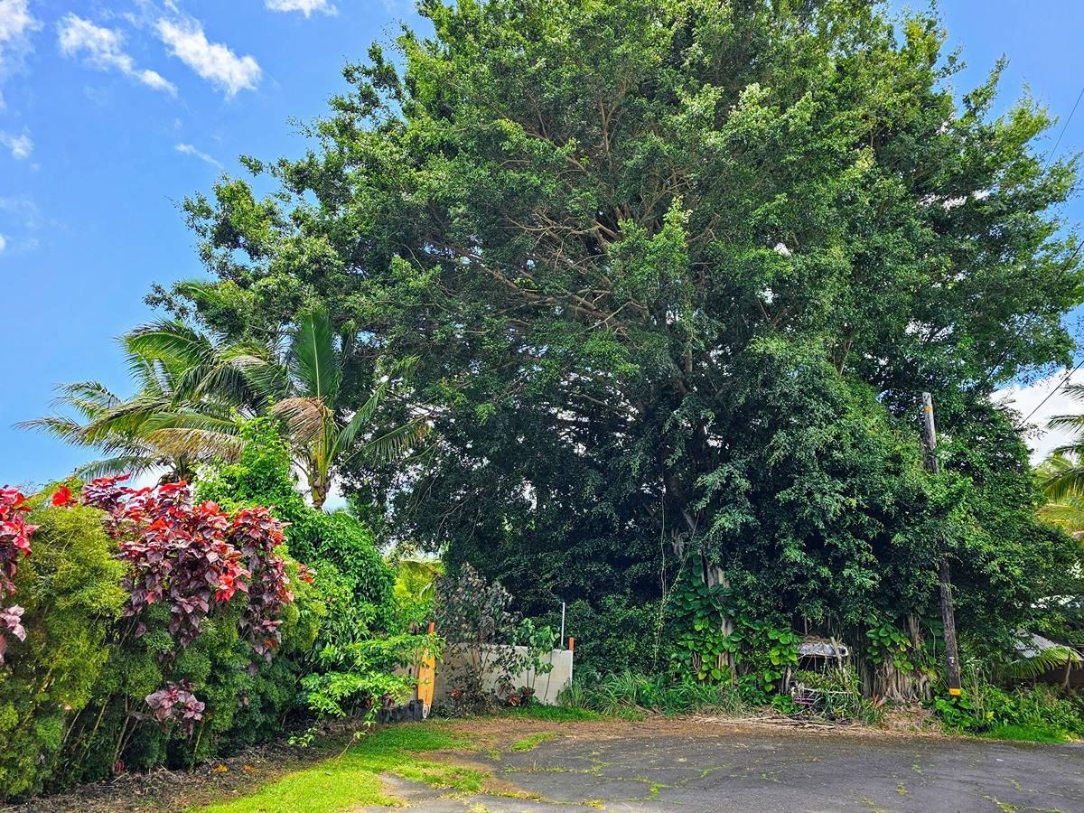 KAIWIHALA PL PAHOA HI 96778