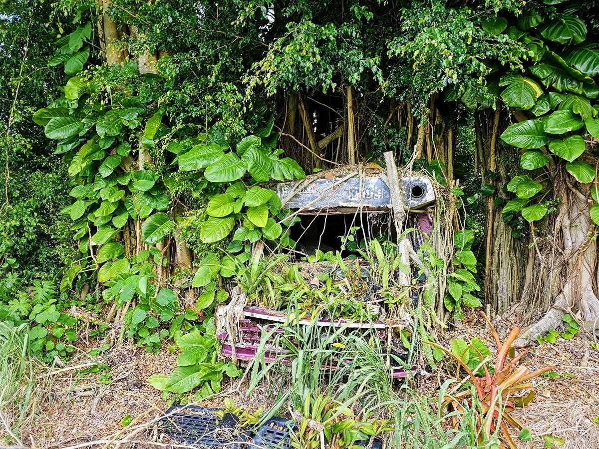 KAIWIHALA PL PAHOA HI 96778