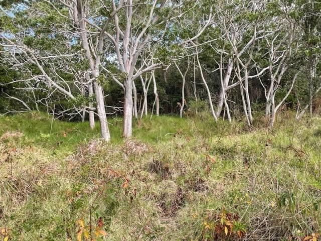 PALAA PL HAWAIIAN NATL PARK HI 96718