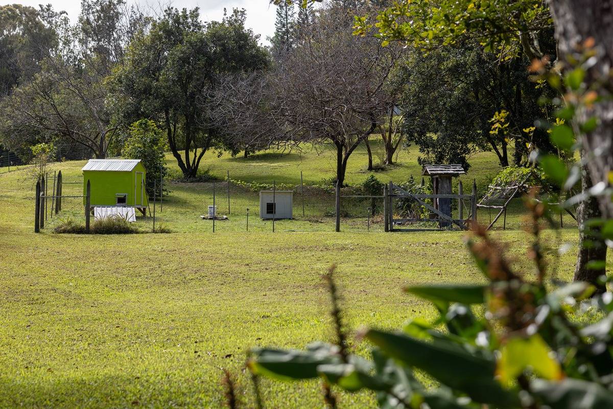 Big Island Listing Image