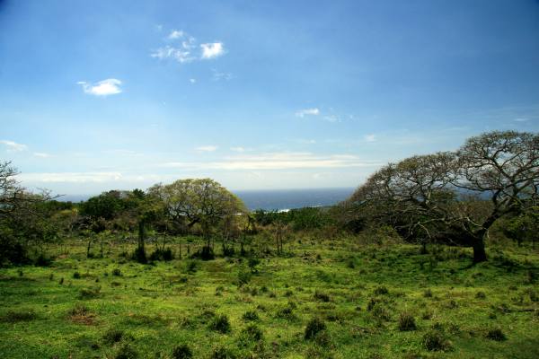 Naalehu real estate - Hilea Road - Naalehu HA homes for sale