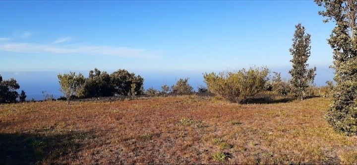 Big Island Listing Image