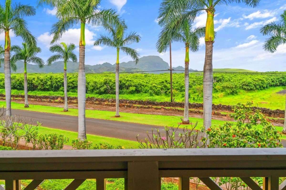 Kauai Listing Image