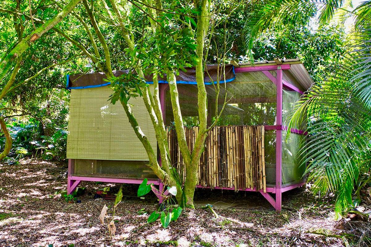 Big Island Listing Image