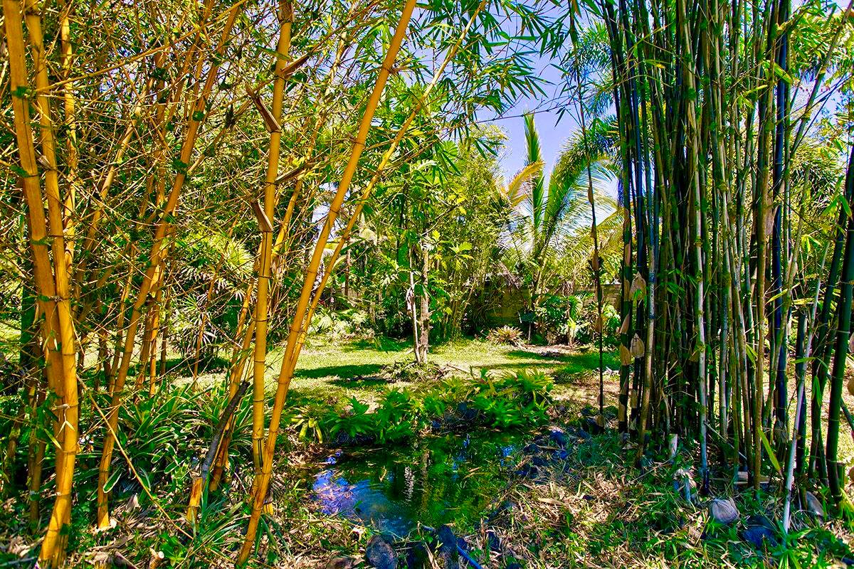 Big Island Listing Image