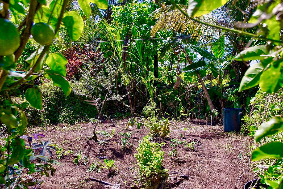 Big Island Listing Image