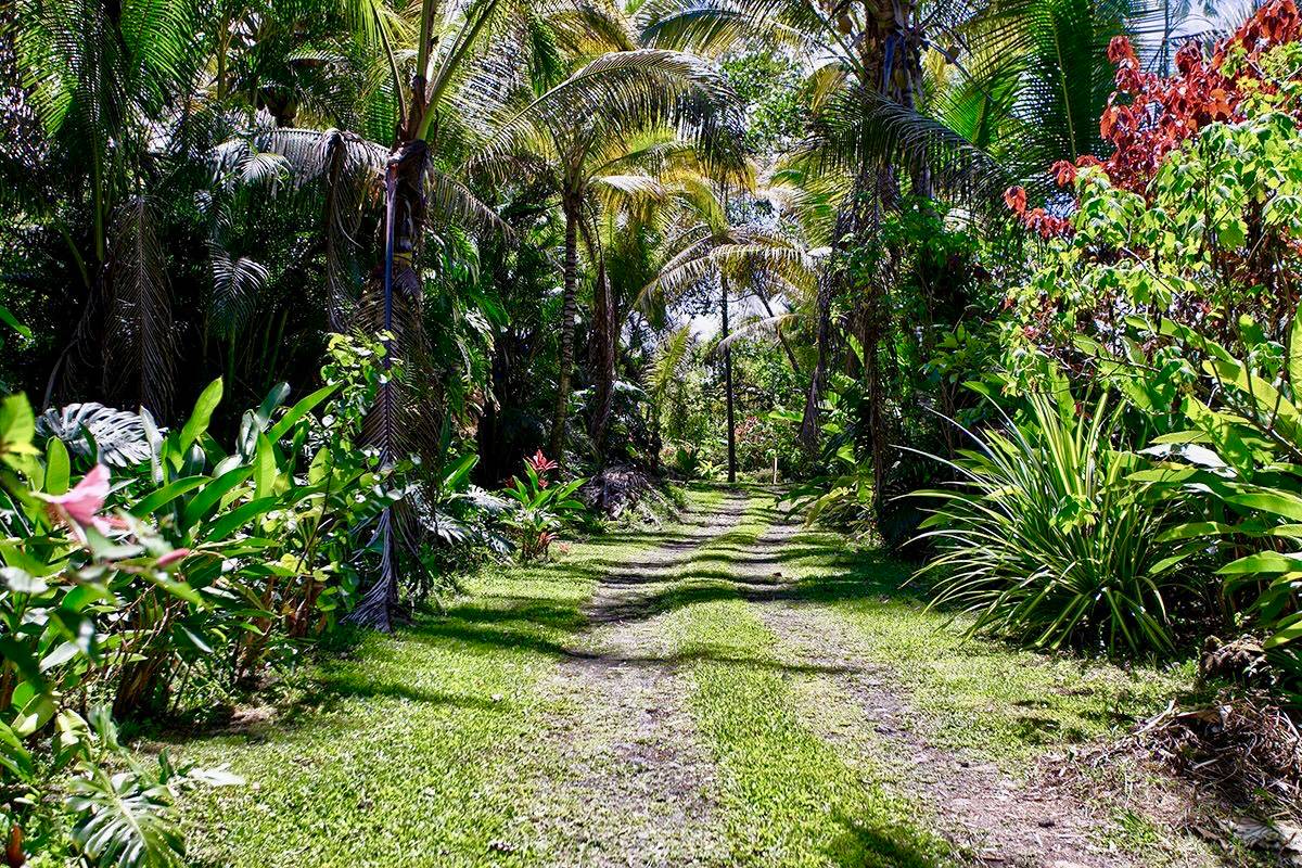 Big Island Listing Image