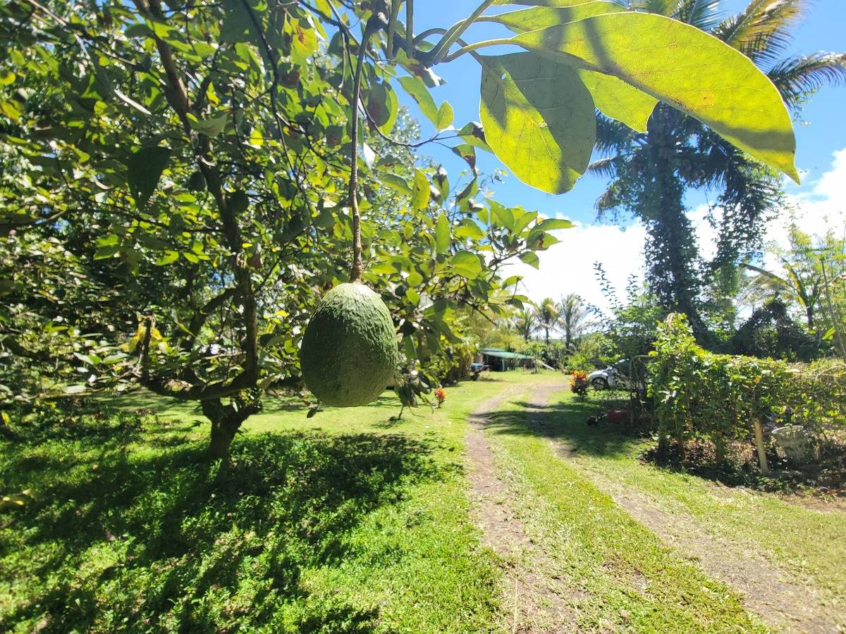 Big Island Listing Image