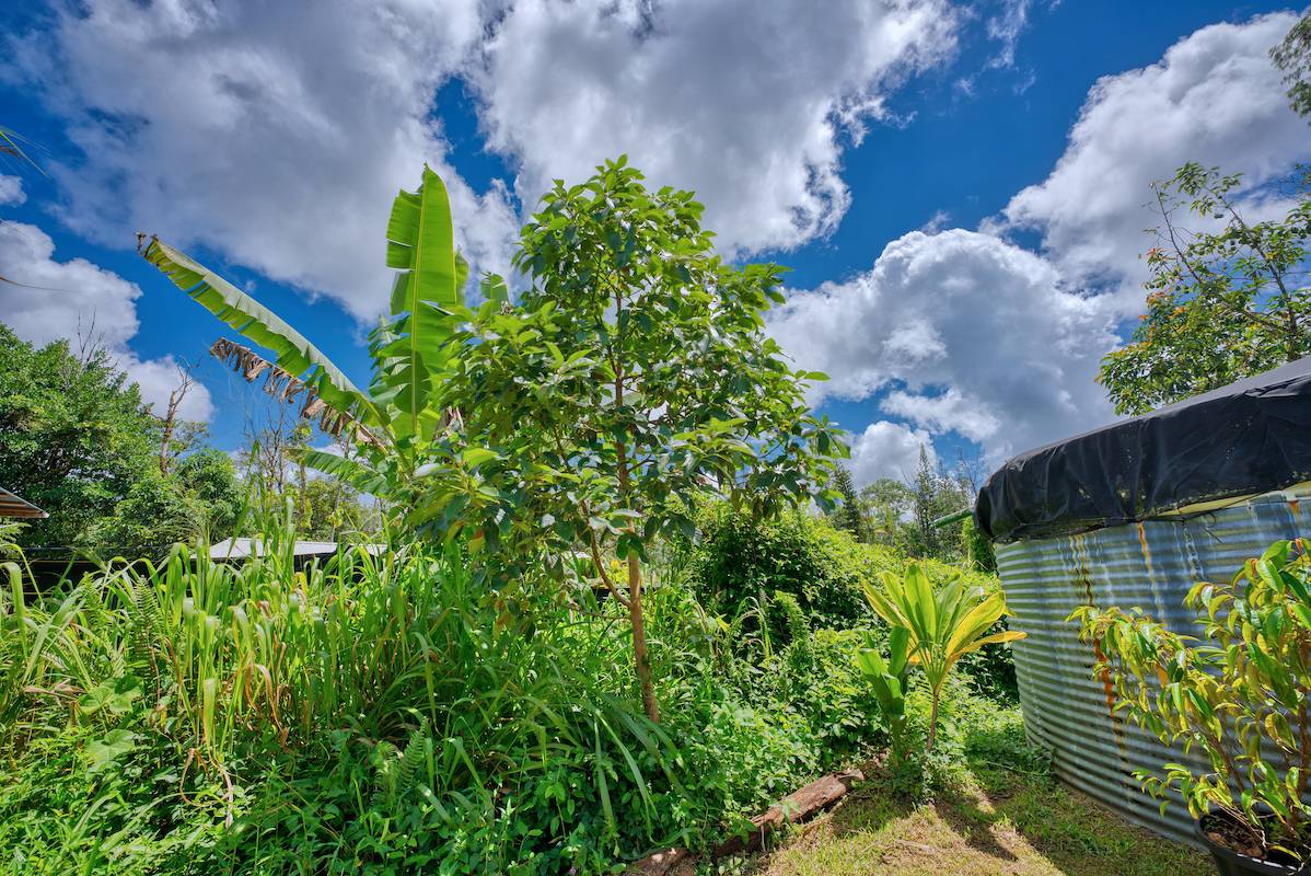 Big Island Listing Image