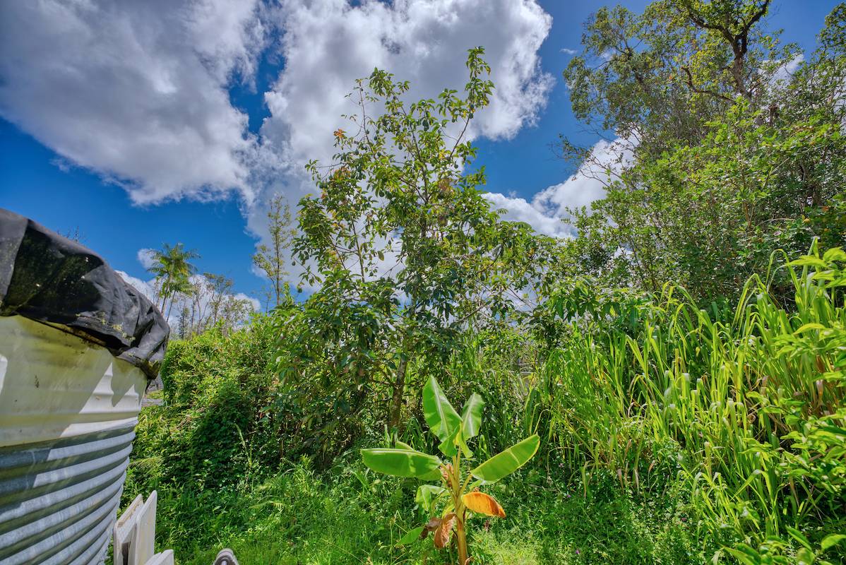 Big Island Listing Image