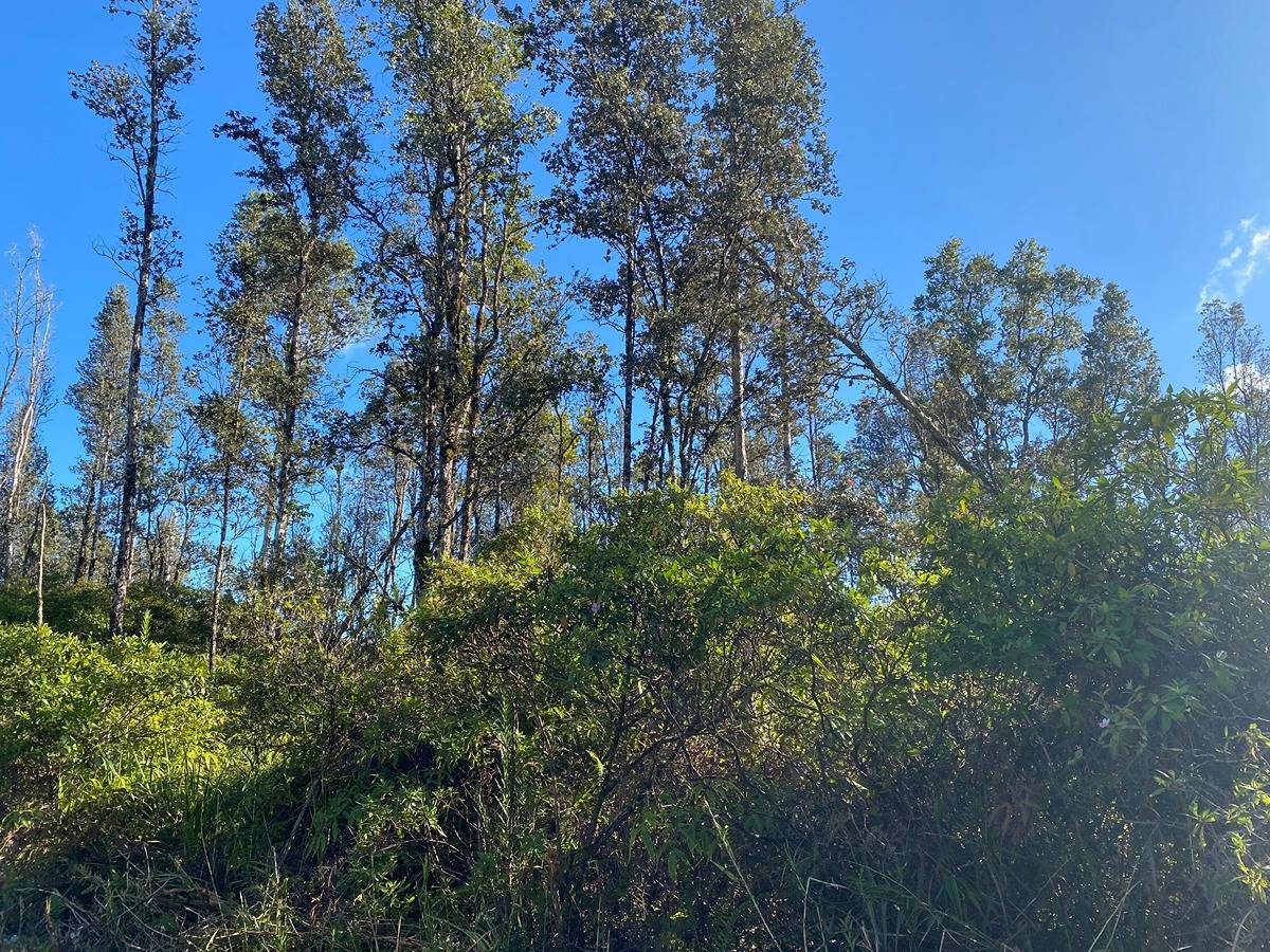 PARADISE RD PAHOA HI 96778