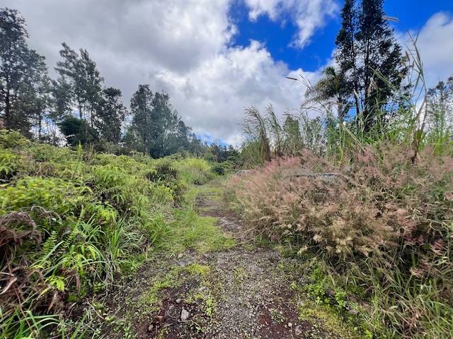 11-2828 LEHUA ST MOUNTAIN VIEW HI 96771