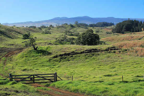 Kukaiau Ranch Road main photo Paauilo real estate - Kukaiau Ranch Road - Paauilo HA homes for sale