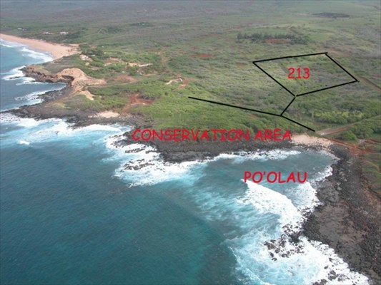 213 POHAKULOA RD, Maunaloa, HI 96770