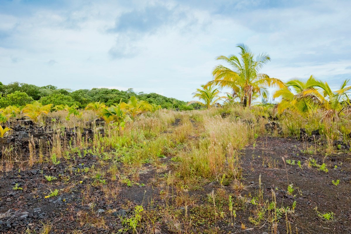 Big Island Listing Image