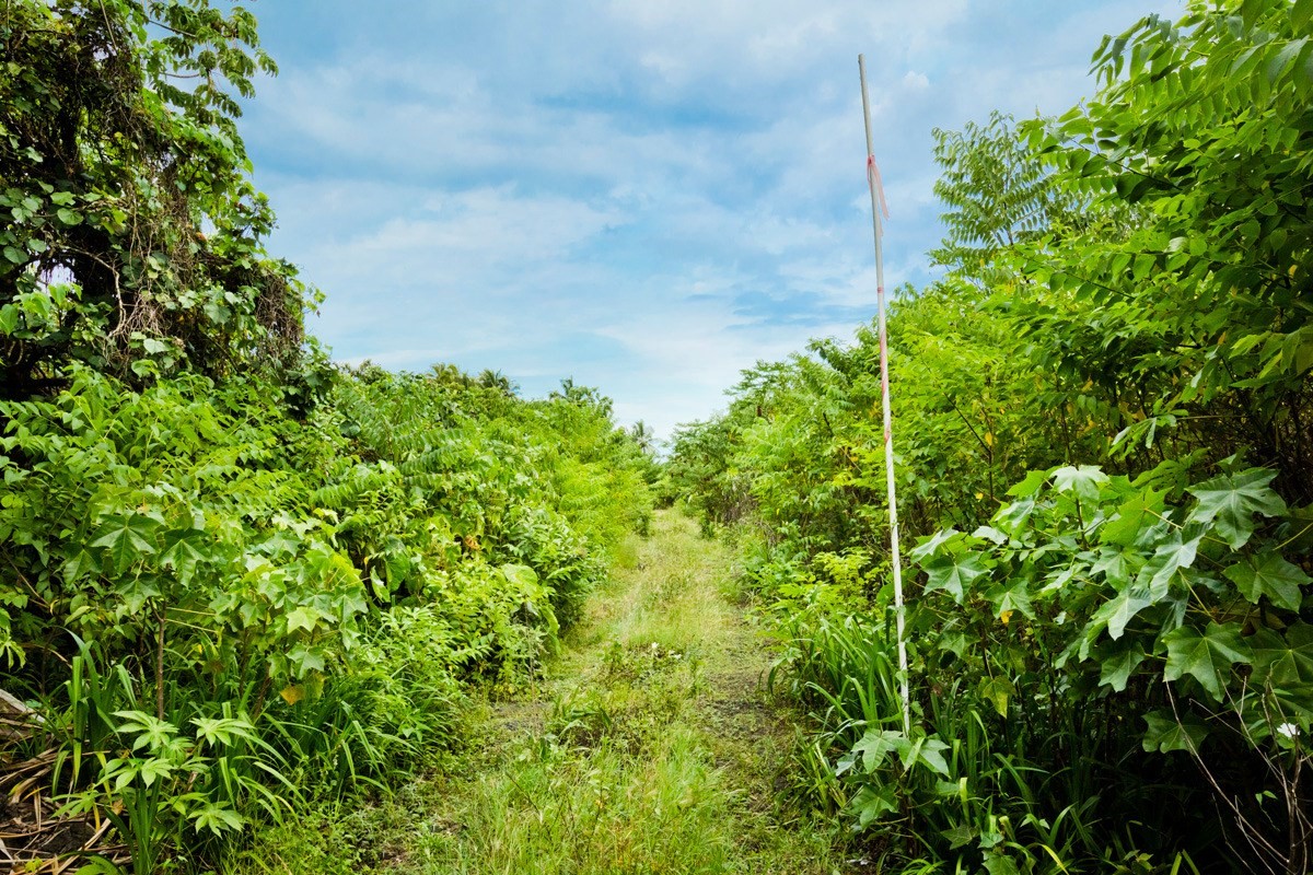 Big Island Listing Image