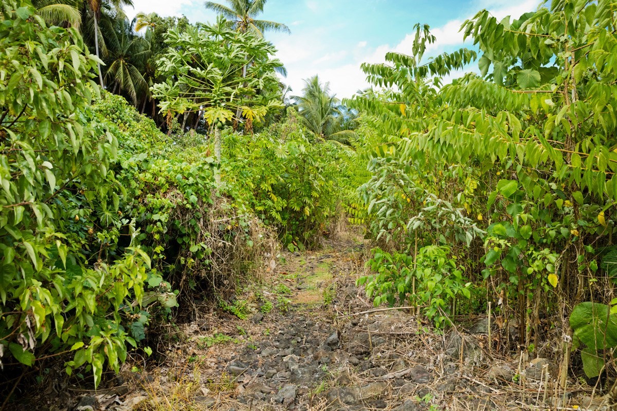 Big Island Listing Image