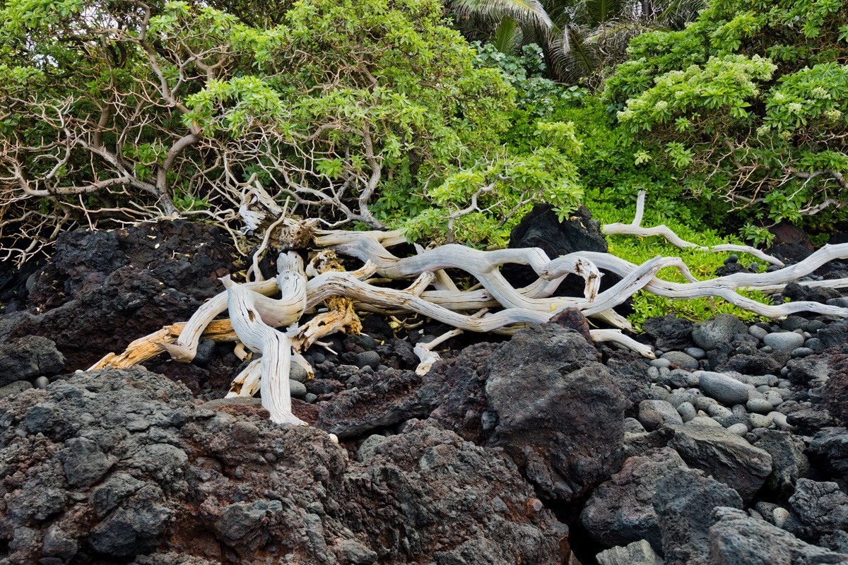 Big Island Listing Image