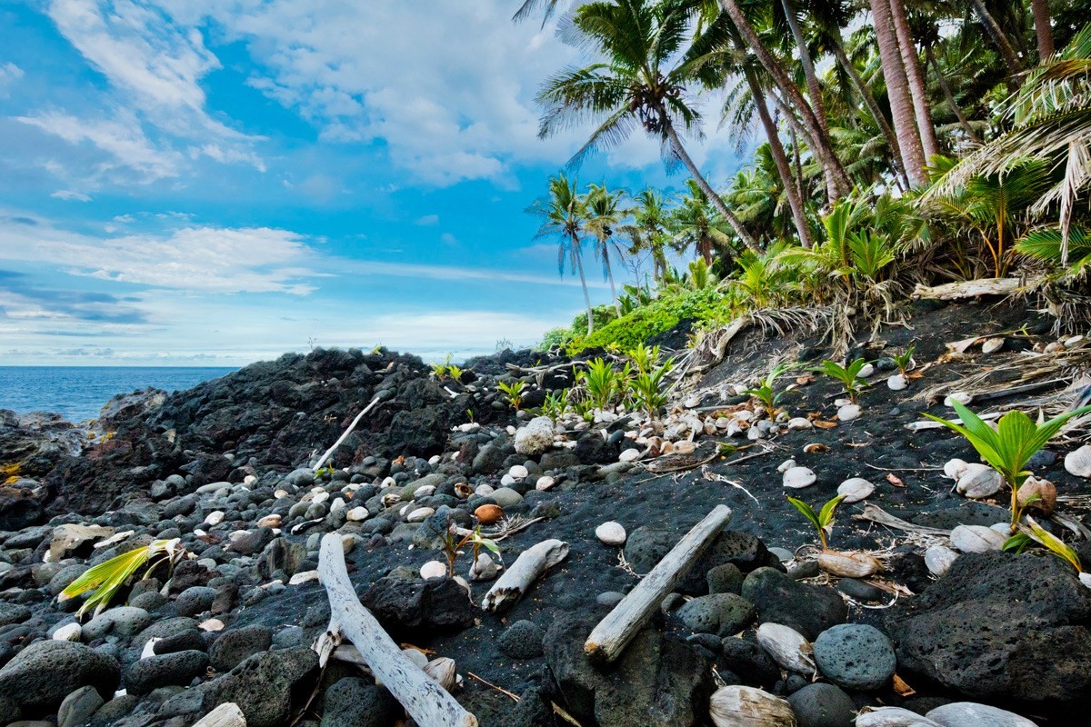 Big Island Listing Image