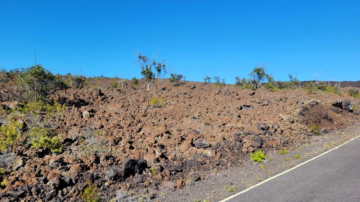 OHIA DR OCEAN VIEW HI 96737