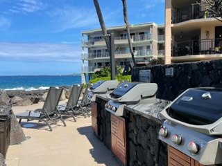 Big Island Listing Image