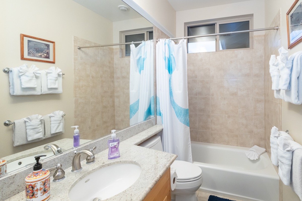 Big Island Listing Image