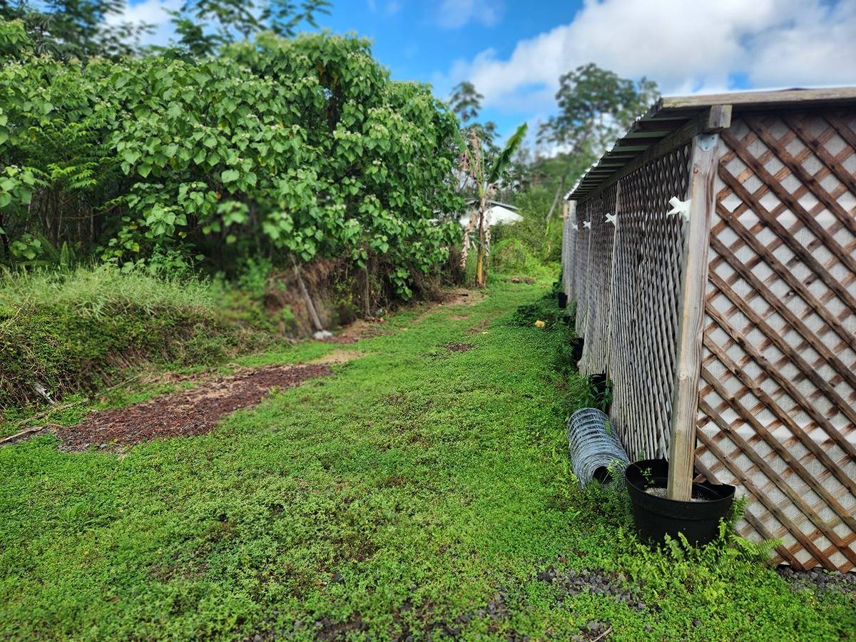 Big Island Listing Image