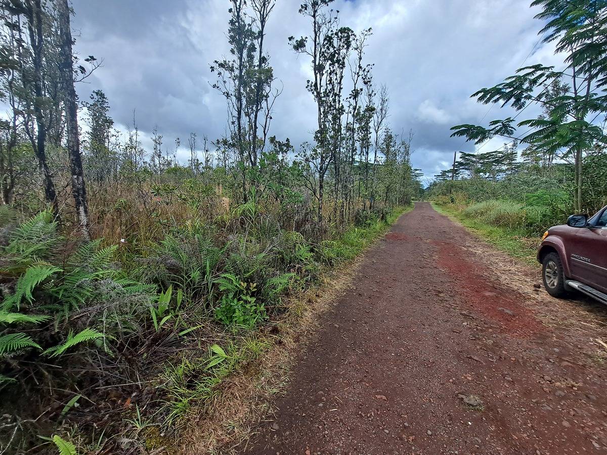 Big Island Listing Image