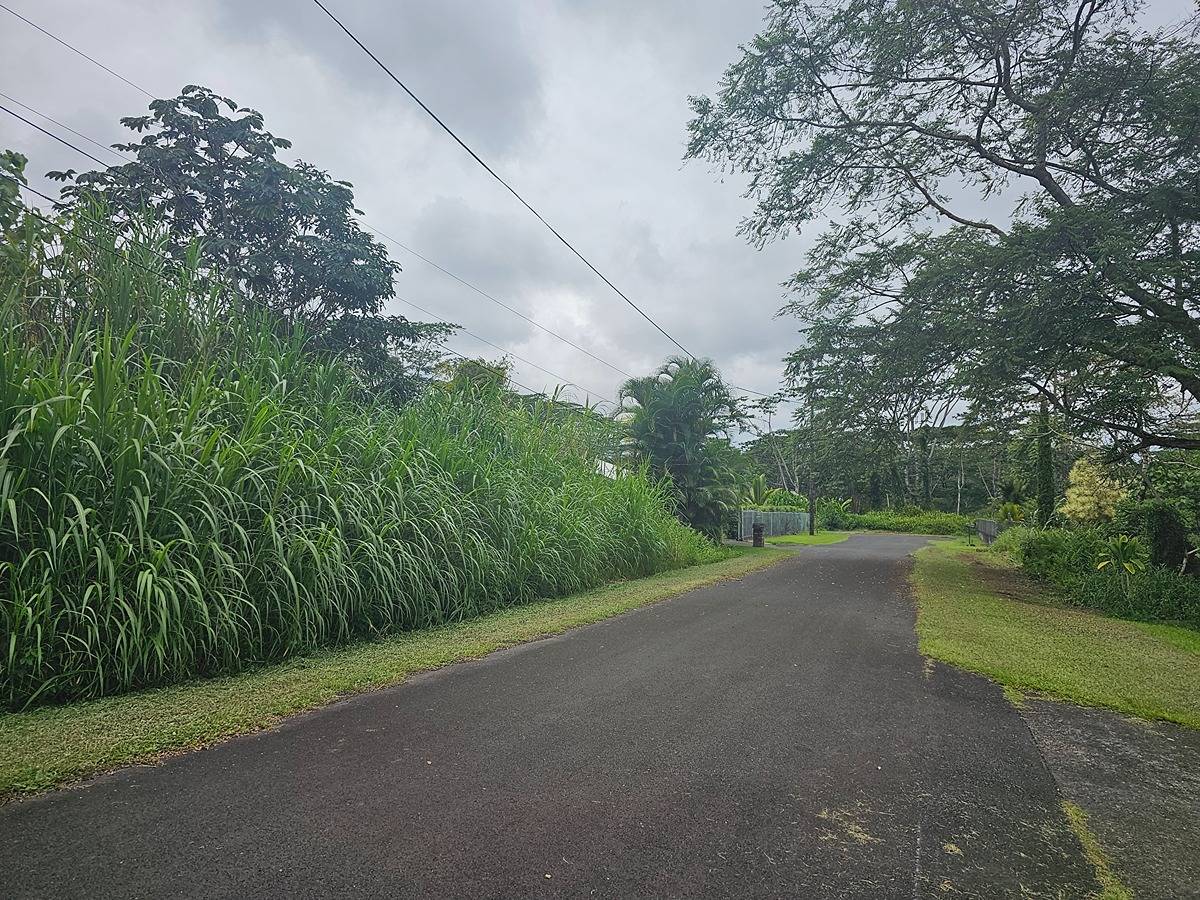 AHI ST PAHOA HI 96778