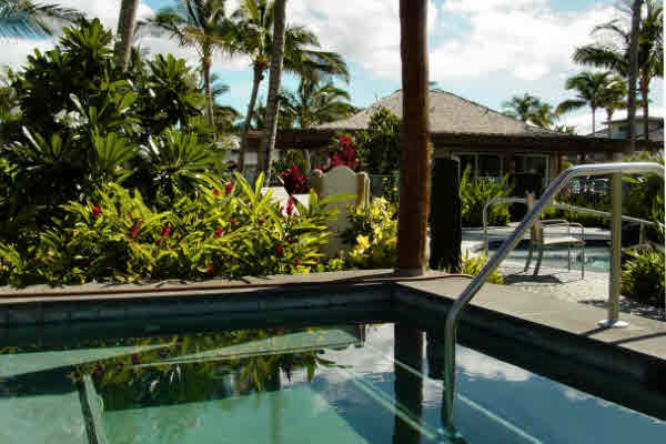 Amenities include Tropically Landscaped, Shaded Area with Huge Walk-in Spa.