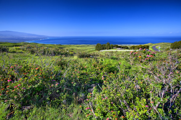 Kohala Ranch