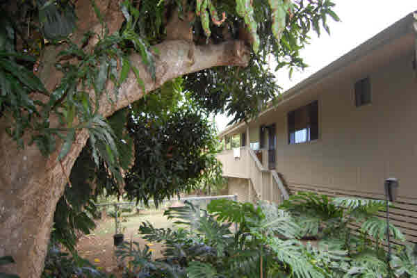 MLS# 235806 81-6671 MULI ST Kona Scenic Subdiv MLS# 235806 81-6671 MULI ST Kona Scenic Subdiv