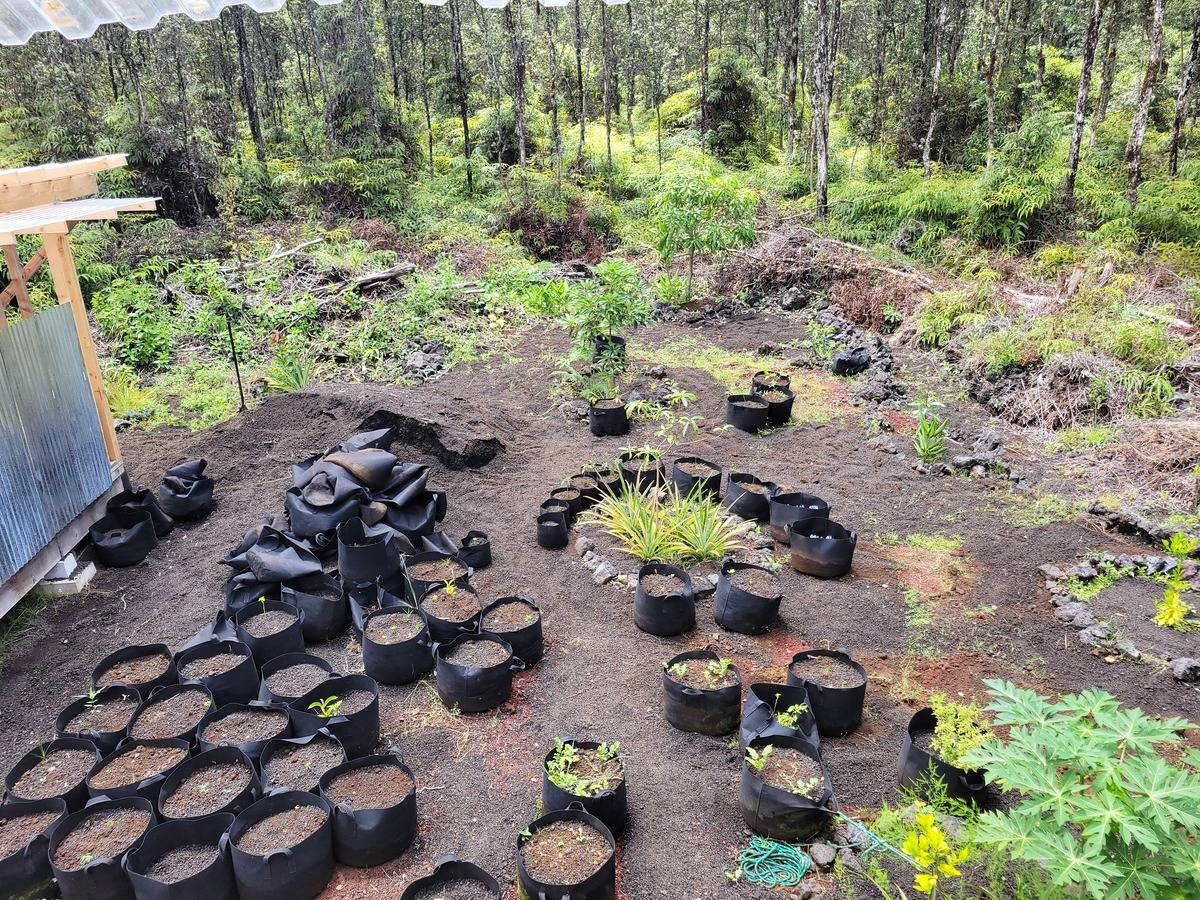 Big Island Listing Image