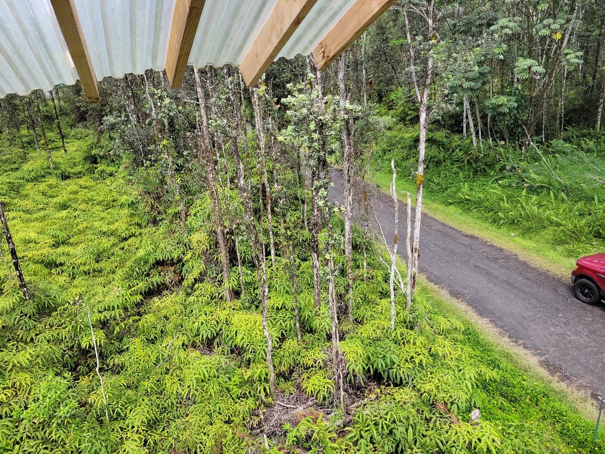 Big Island Listing Image