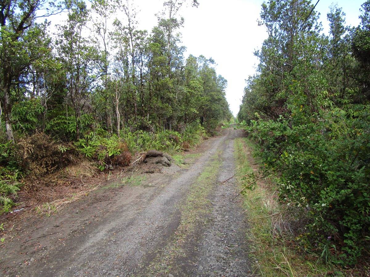 NENE ST MOUNTAIN VIEW HI 96771