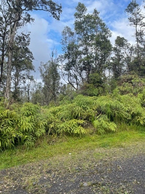 Big Island Listing Image