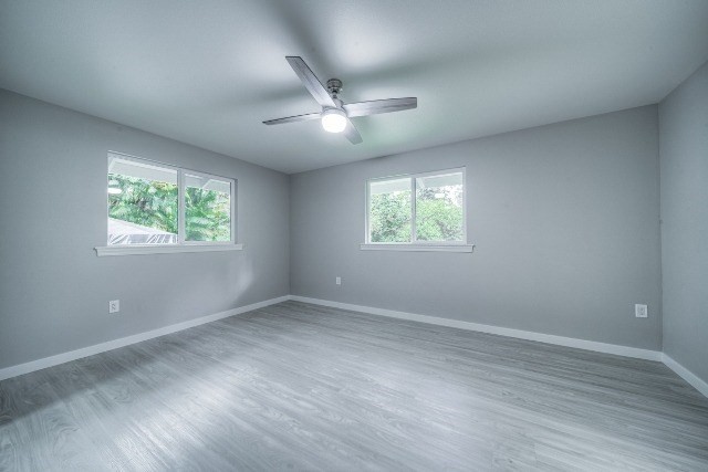 Big Island Listing Image