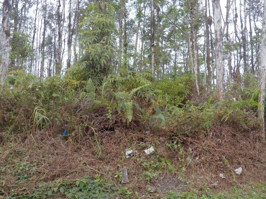 Big Island Listing Image