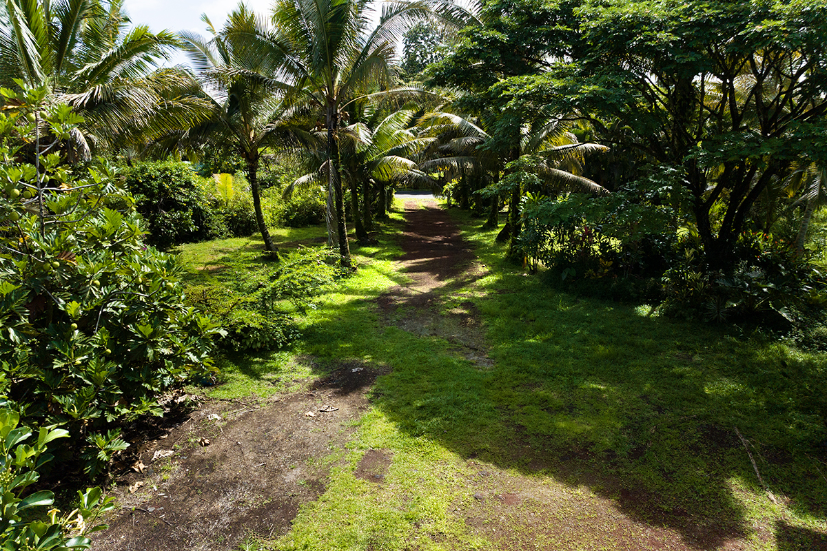 Big Island Listing Image