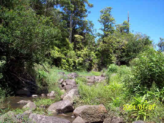 Spencer Road,LAUPAHOEHOE,HI,96764,USA